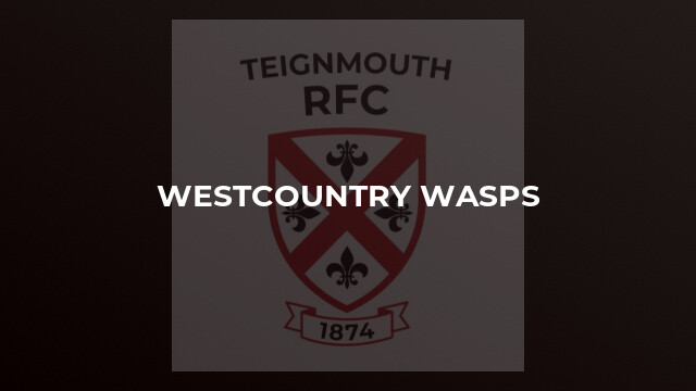 Westcountry Wasps