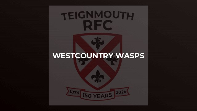 Westcountry Wasps