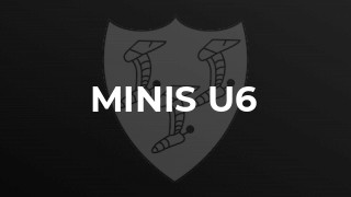 MINIs U6