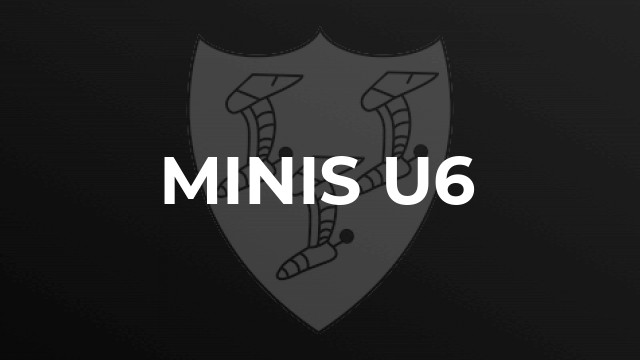 MINIs U6
