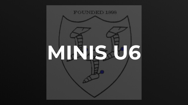 MINIs U6