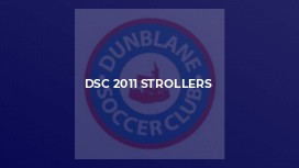 DSC 2011 Strollers
