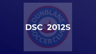 DSC  2012s