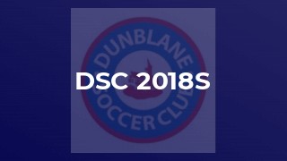 DSC 2018s