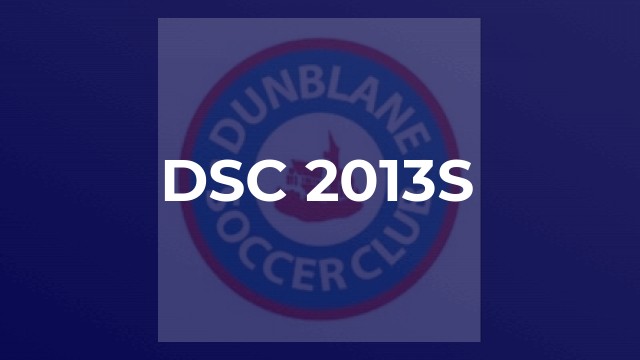 DSC 2013s