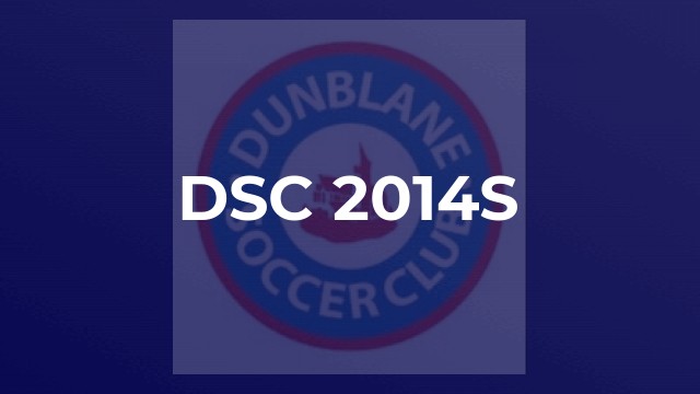 DSC 2014s