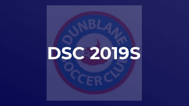 DSC 2019s