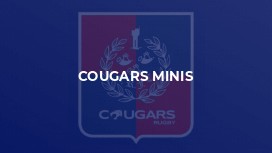 Cougars Minis