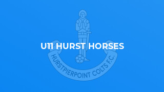 U11 Hurst Horses