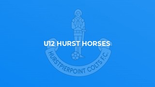 U12 Hurst Horses