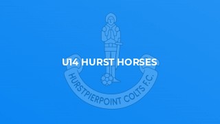 U14 Hurst Horses