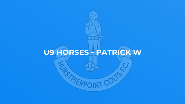 U9 Horses - Patrick W