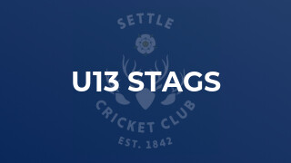 U13 Stags