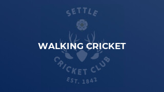 Walking Cricket