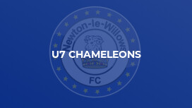 U7 Chameleons