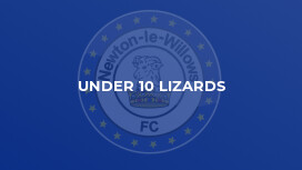Under 10 Lizards