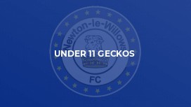 Under 11 Geckos