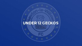 Under 12 Geckos