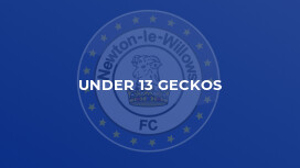 Under 13 Geckos