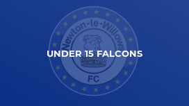 Under 15 Falcons