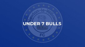 Under 7 Bulls