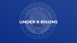 Under 8 Bisons
