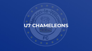 U7 Chameleons