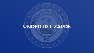 Under 10 Lizards