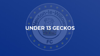 Under 13 Geckos