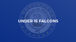 Under 15 Falcons