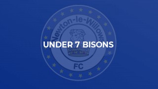 Under 7 Bisons