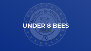 Under 8 Bees