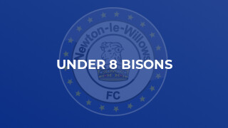 Under 8 Bisons