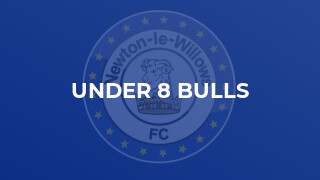 Under 8 Bulls