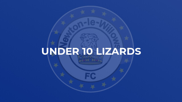 Under 10 Lizards