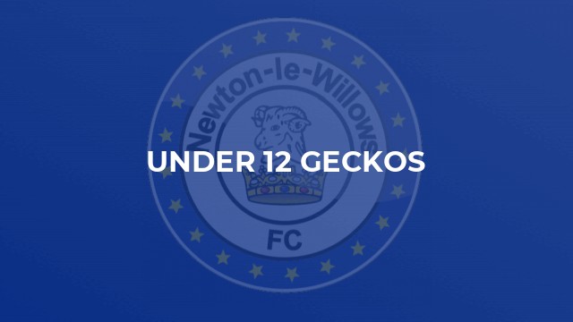 Under 12 Geckos