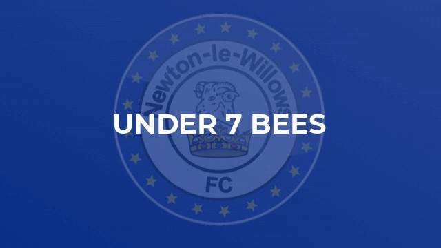 Under 7 Bees