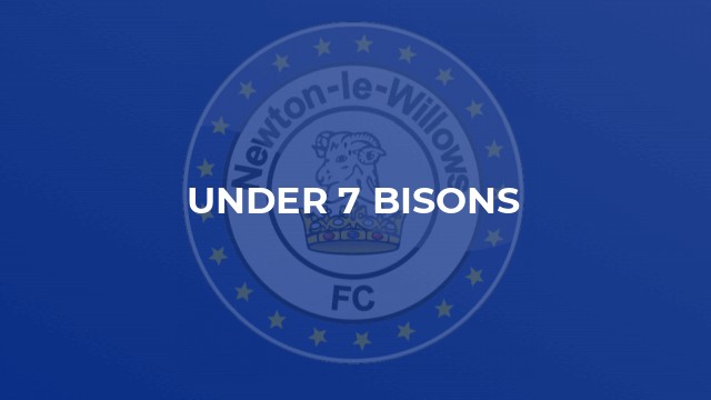 Under 7 Bisons