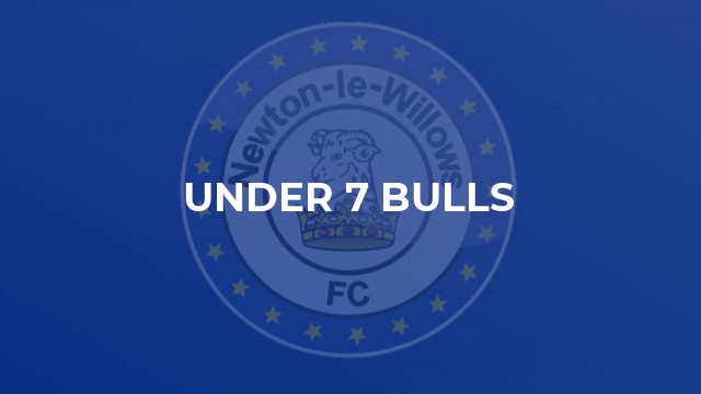 Under 7 Bulls