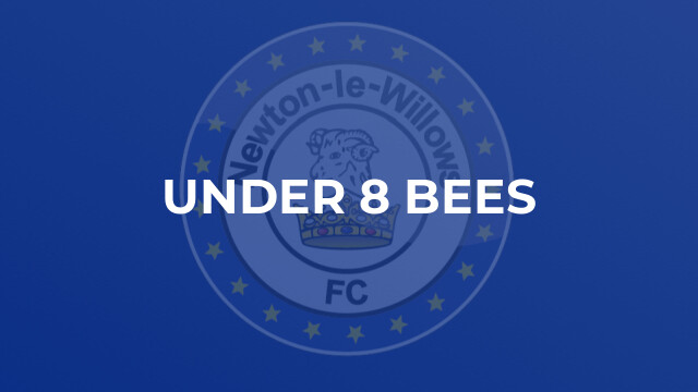 Under 8 Bees