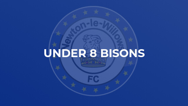 Under 8 Bisons