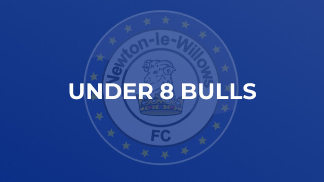 Under 8 Bulls