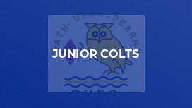 Junior Colts