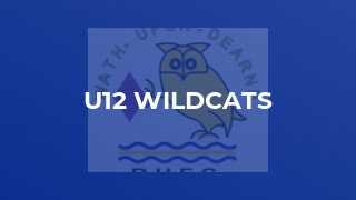 U12 Wildcats