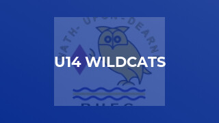 U14 Wildcats