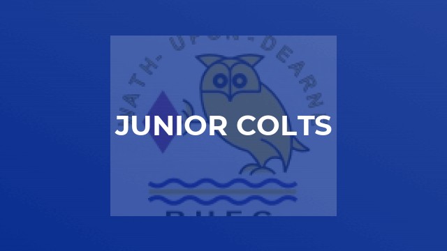 Junior Colts