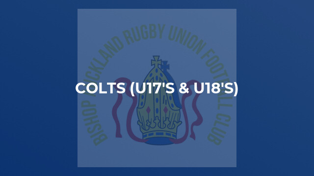 Colts (U17's & U18's)
