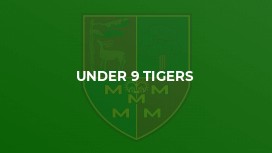 Under 9 Tigers
