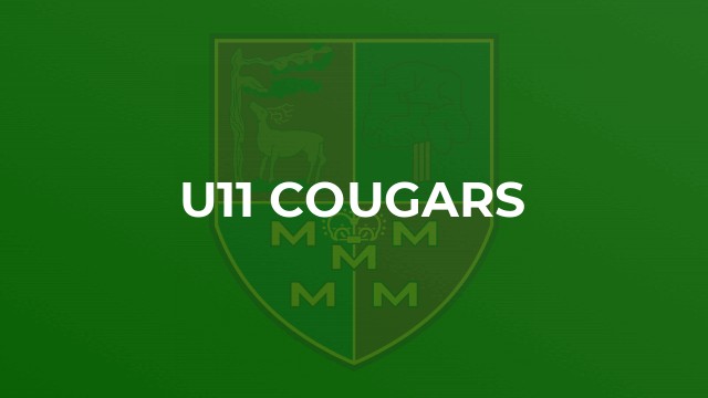 U11 Cougars