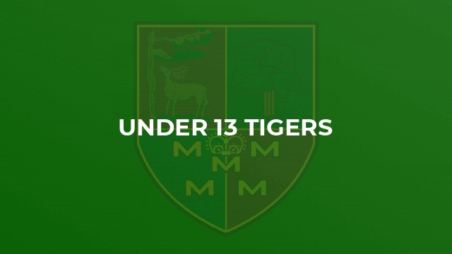 Under 13 Tigers